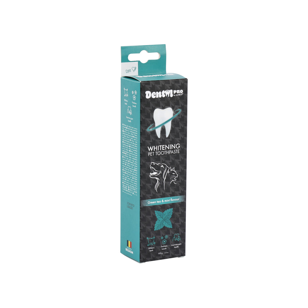 DENTAL CARE PRO WHITENING toothpaste Green tea&mint