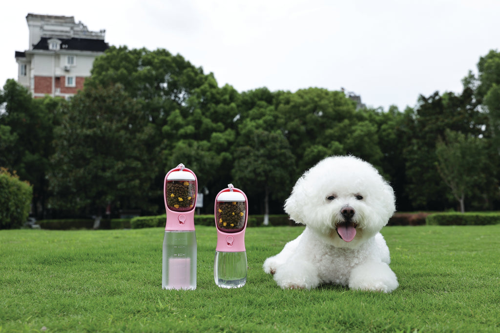 ON THE ROAD Dog water bottle 300 ml - 2 in 1 - Pink bloom