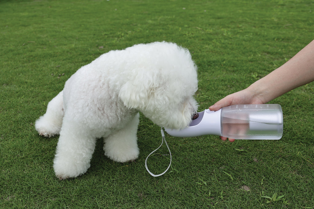 ON THE ROAD Dog water bottle 600 ml - 3 in 1 - White Chalk