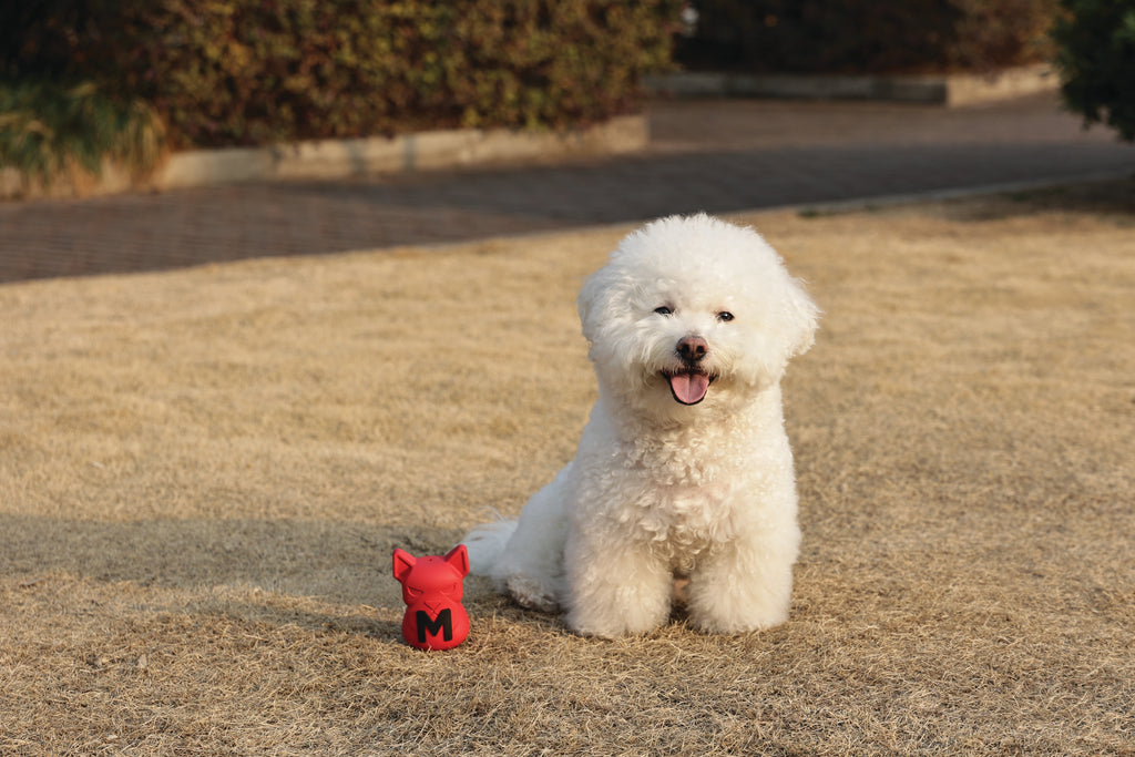 POWER CHEW Dog toy Ruby