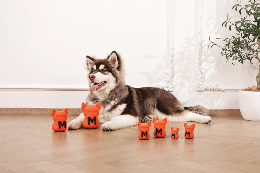 POWER CHEW Dog toy Citrine