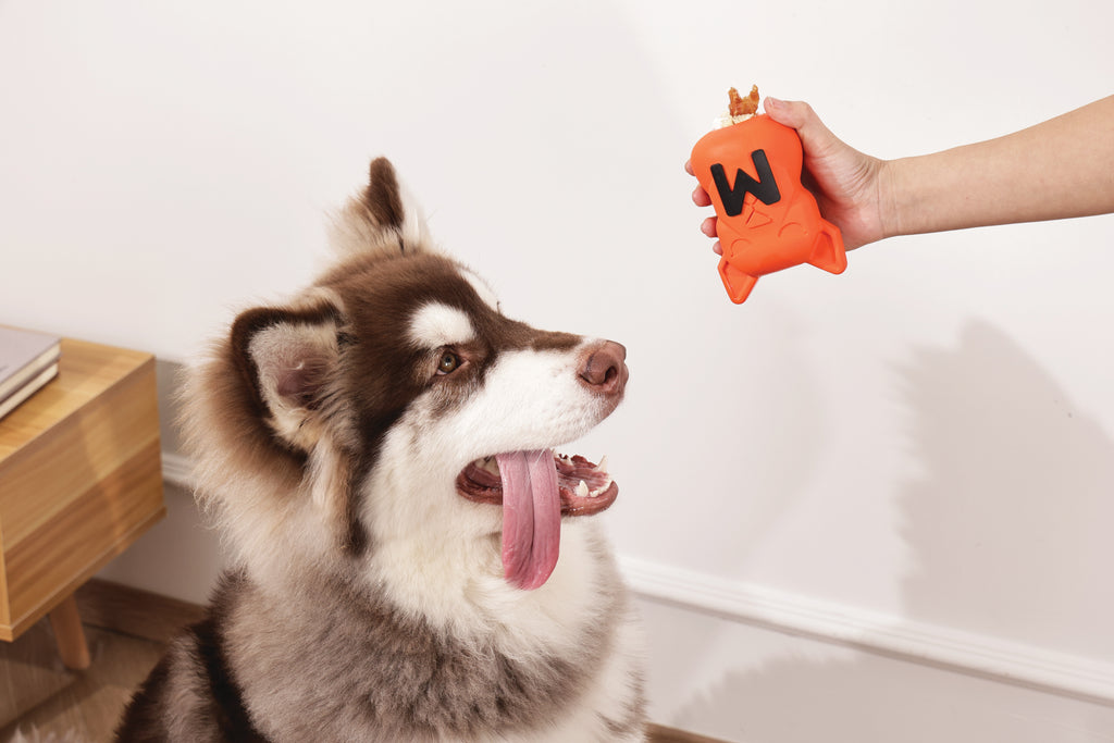 POWER CHEW Dog toy Citrine