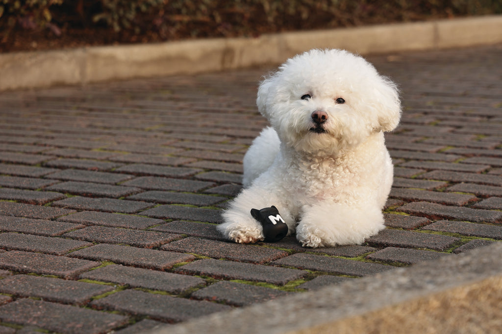 POWER CHEW Dog toy Jet