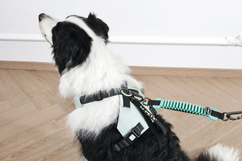 ORIGAMI Dog Harness leafy crease