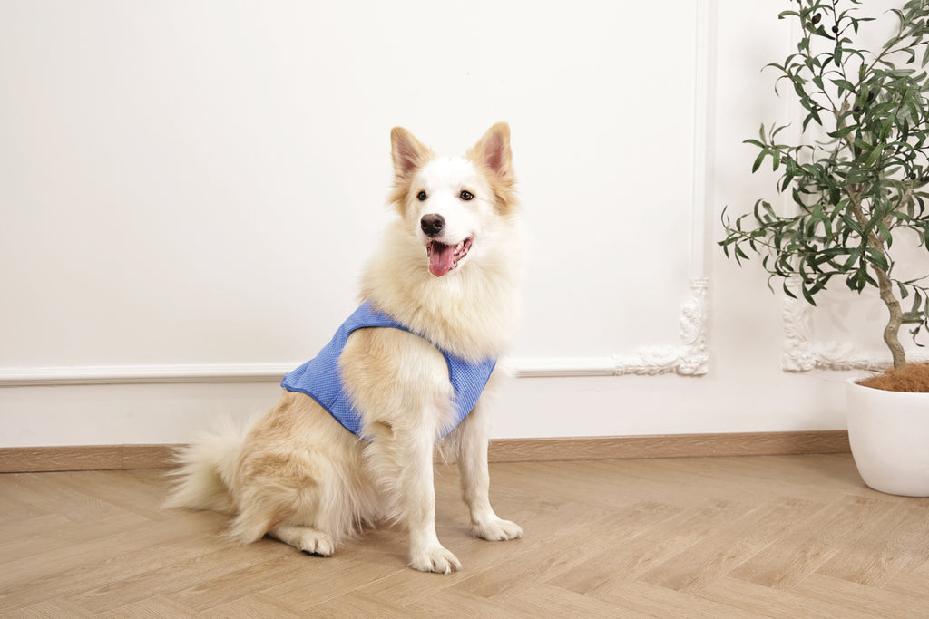 COOLING vest