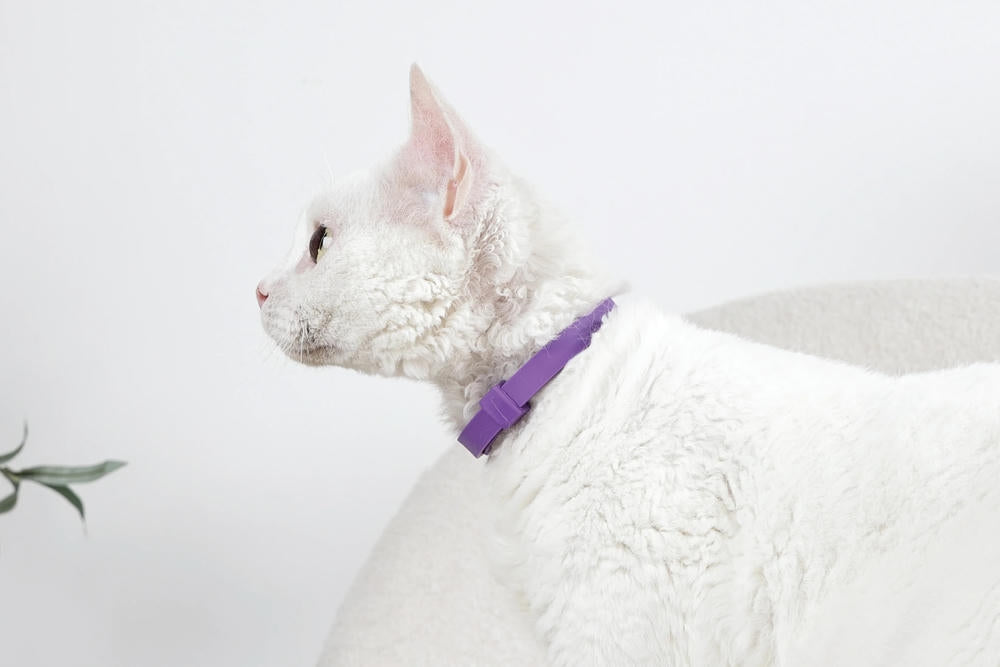 KEEP CALM - Calming pheromone collar set for cats 4 pcs