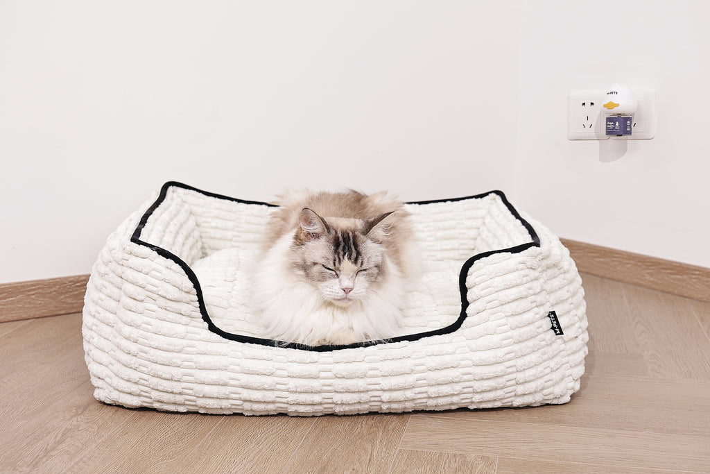 KEEP CALM - Calming Pheromone diffuser for cats -  48ml