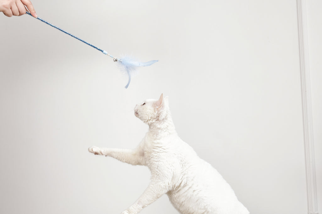 MoonCAT - cat wand Galactic Plume Pink/Blue Silver & White