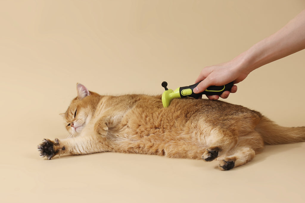 CLICK and GROOM Deshedding Brush