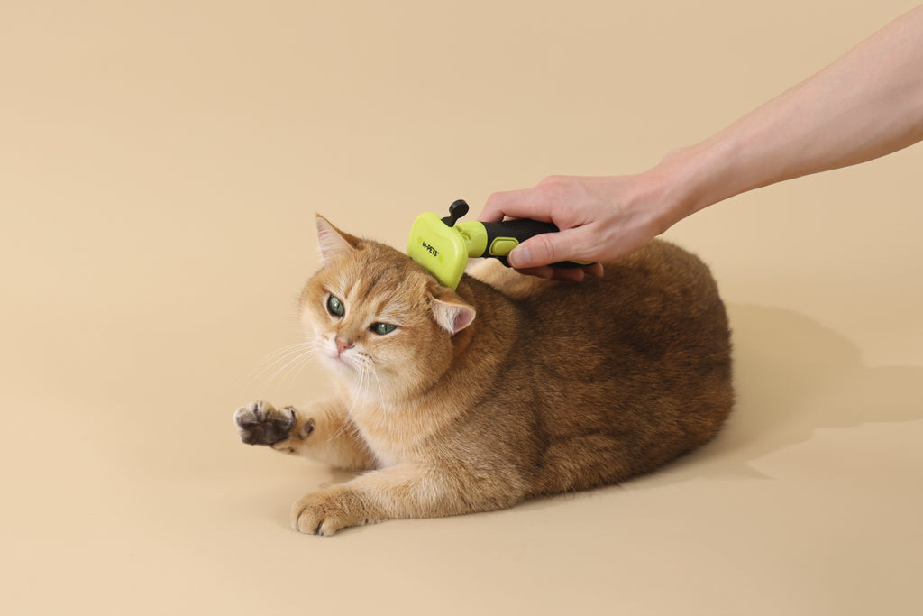 CLICK and GROOM Deshedding Brush