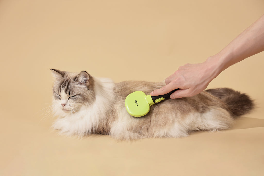 CLICK and GROOM Pin Brush