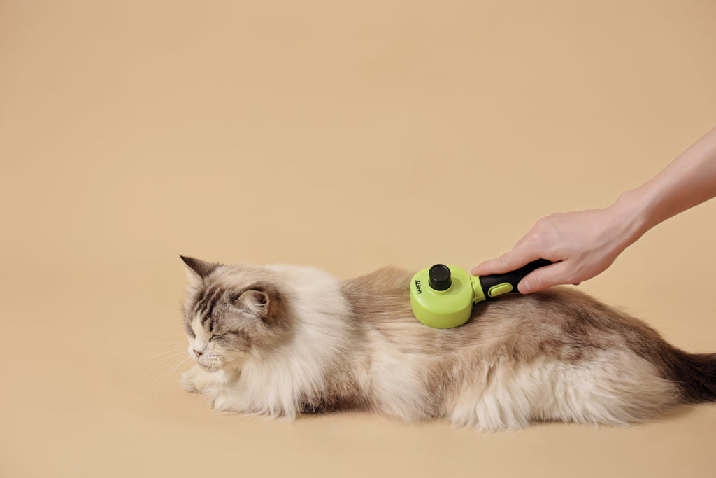 CLICK and GROOM 1-click Cleaning Pin
