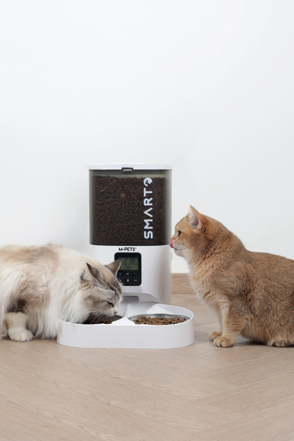 SMARTO M800 6L Automatic Food dispenser