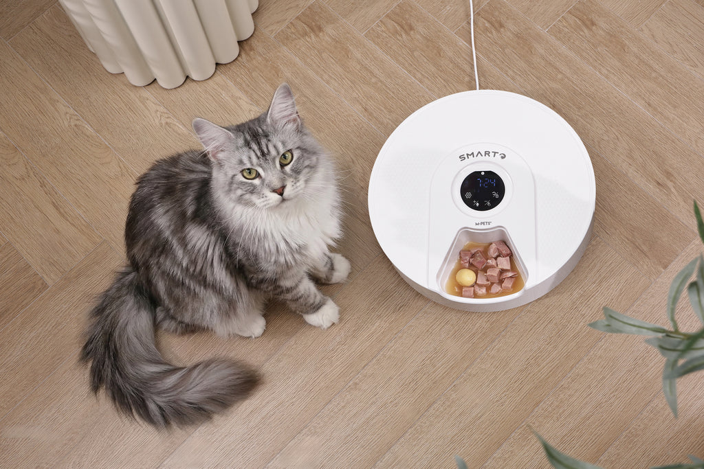 SMARTO M900 Cooling 6 Meal Automatic Food Dispenser