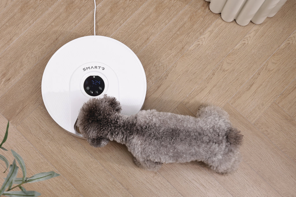 SMARTO M900 Cooling 6 Meal Automatic Food Dispenser