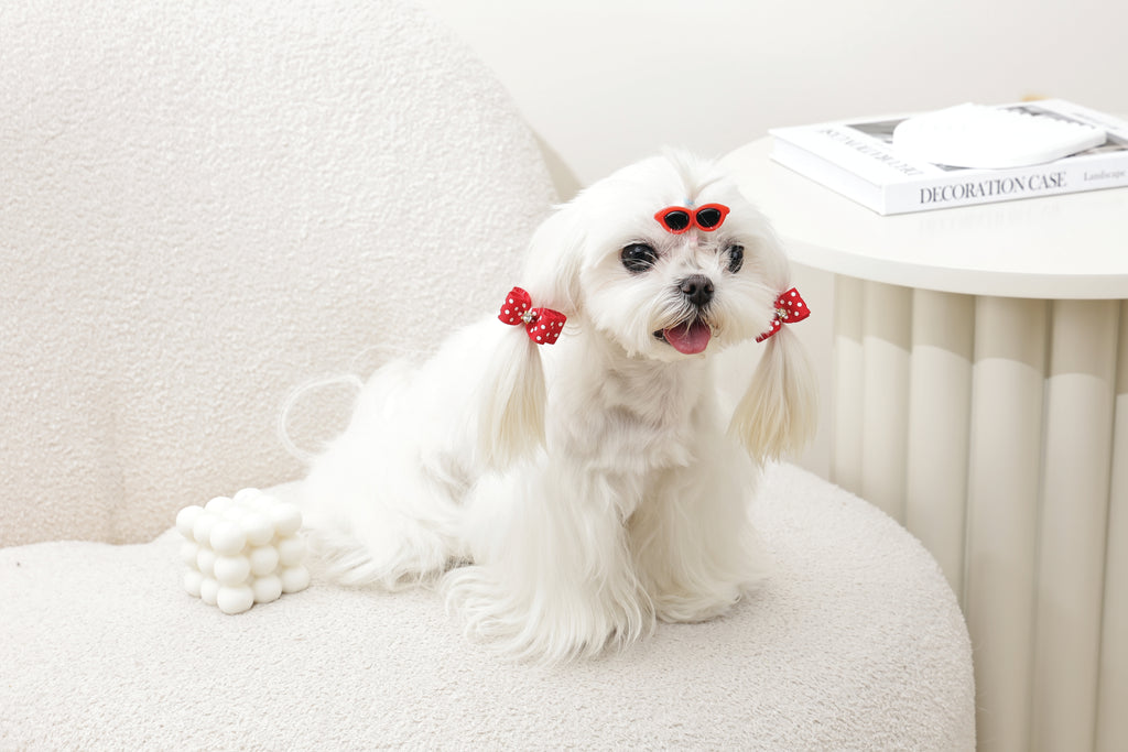 GLAM Hair Accessories for pets clip & rubber band - Red