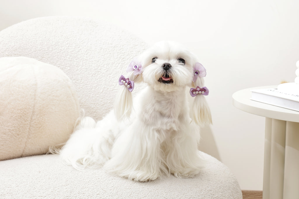 GLAM Hair Accessories for pets rubber band - Purple