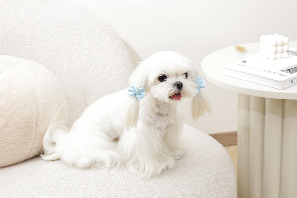 GLAM Hair Accessories for pets rubber band with pearl - Blue