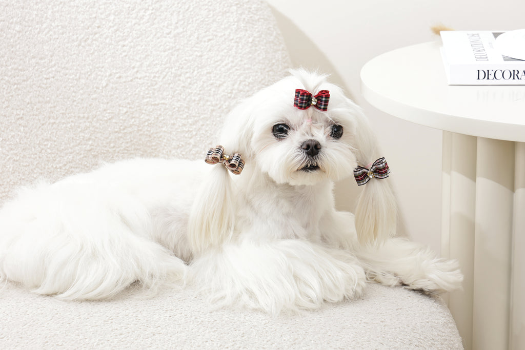 GLAM Hair Accessories for pets clip & rubber - Red