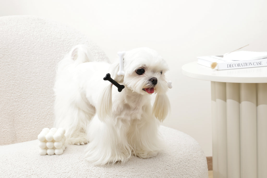 GLAM Hair Accessories for pets bone shape clip - Black &White