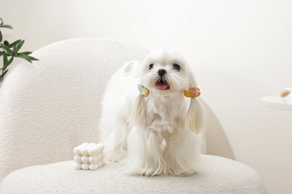 GLAM Hair Accessories for pets clip - Yellow