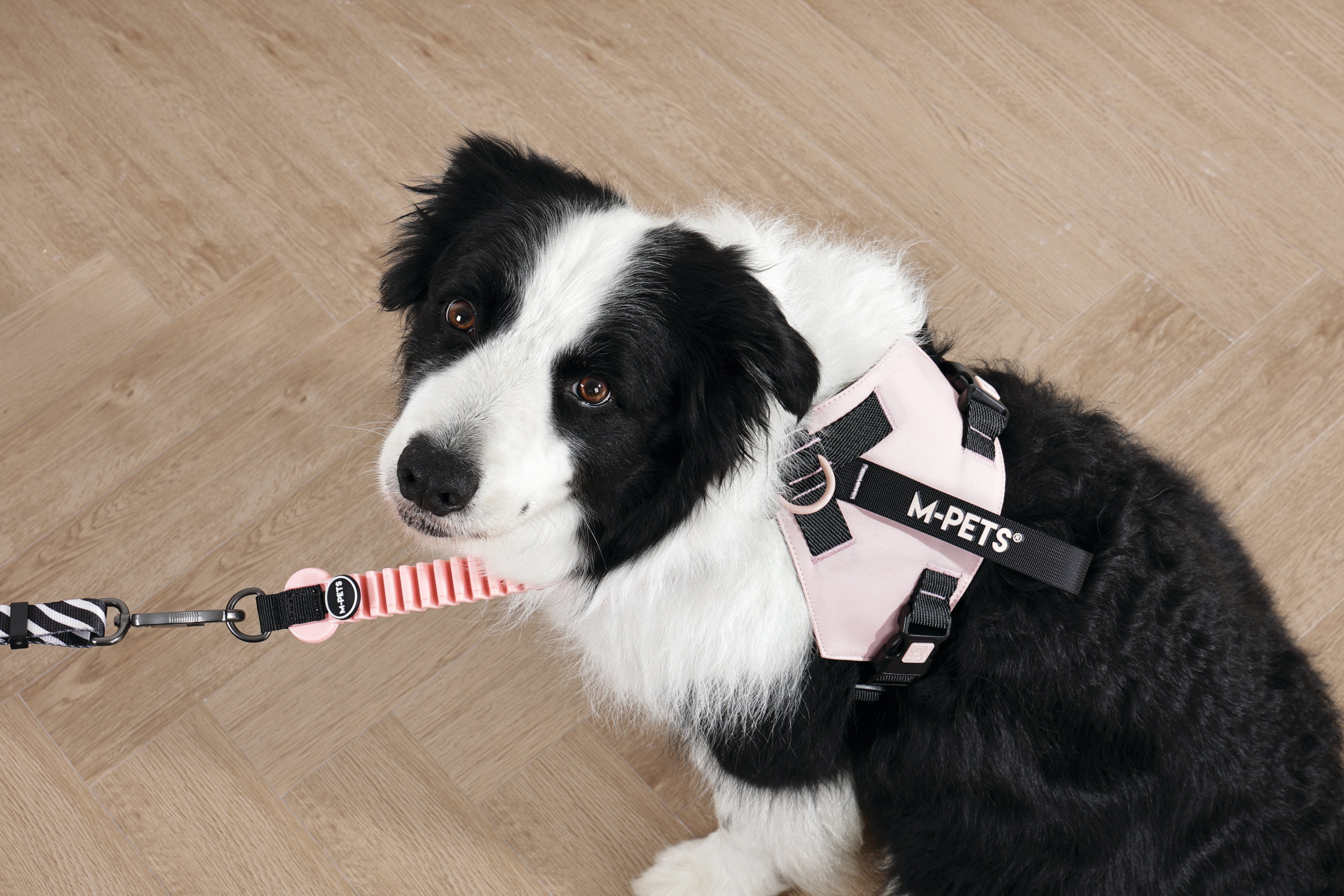 RUMCHE ORIGAMI Harness RUMCHE（ラムシェ）の「