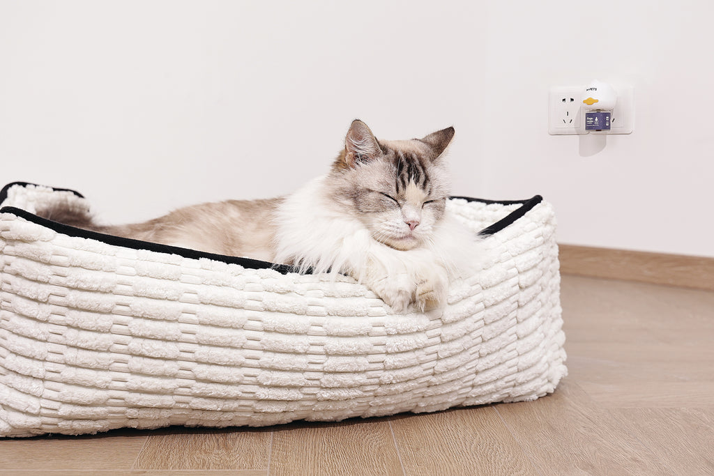 KEEP CALM - Calming Pheromone diffuser for cats -  48ml