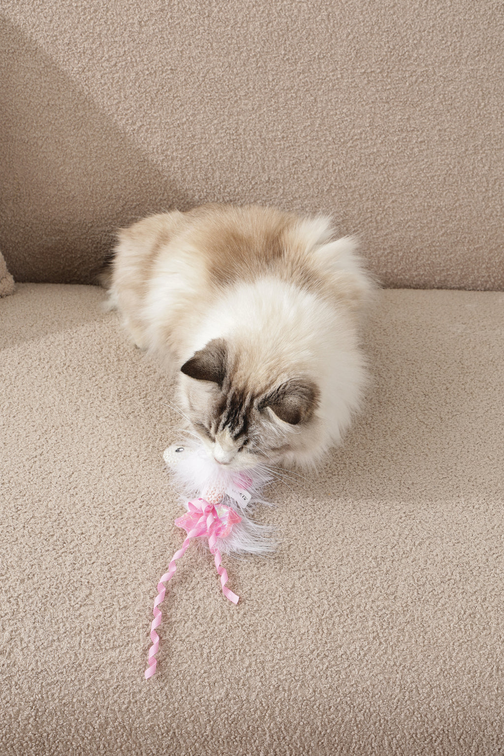 Plume catnip toy Pink fish