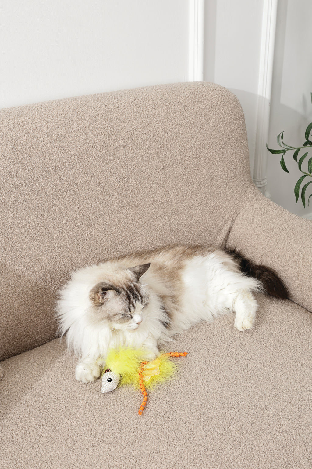 Plume catnip toy Yellow fish