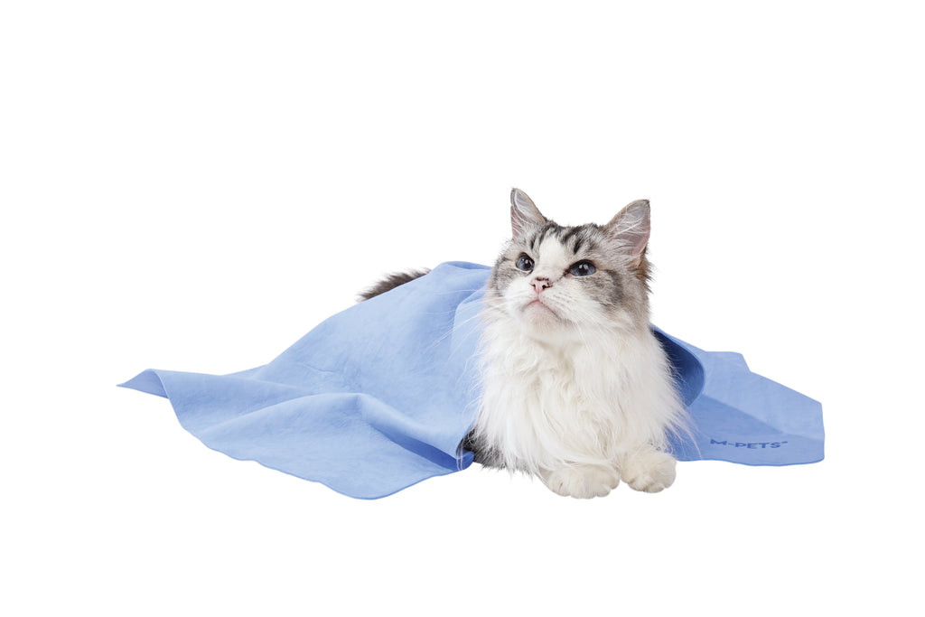 BATHTIME Quick-dry Towel for Cats and Dogs Blue Bubble