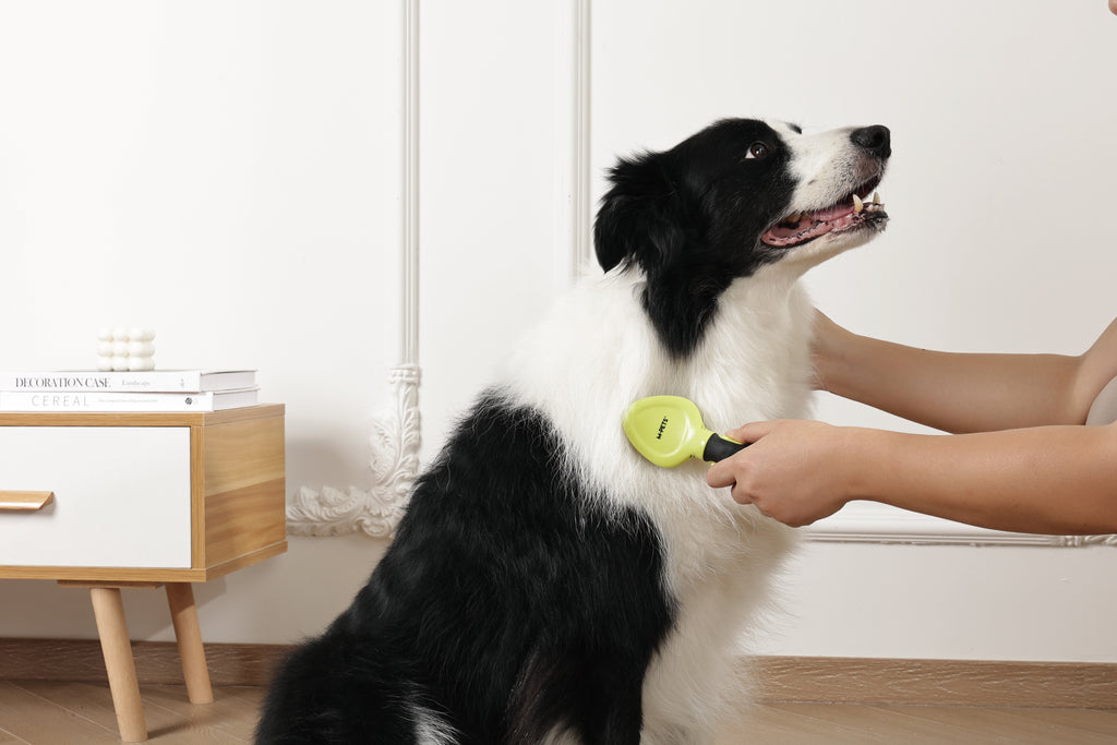 CLICK and GROOM Slicker Brush