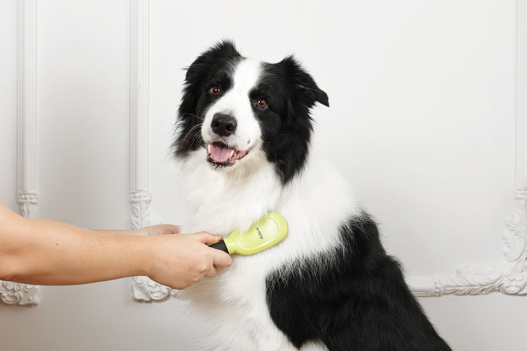 CLICK and GROOM Pin Brush