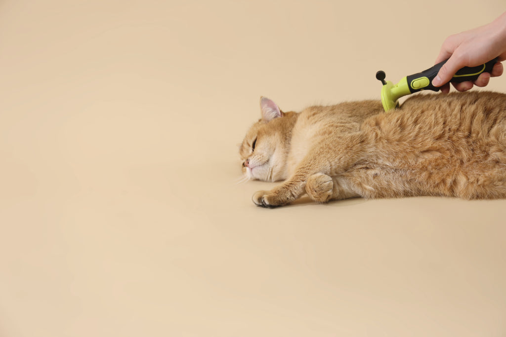 CLICK and GROOM Deshedding Brush