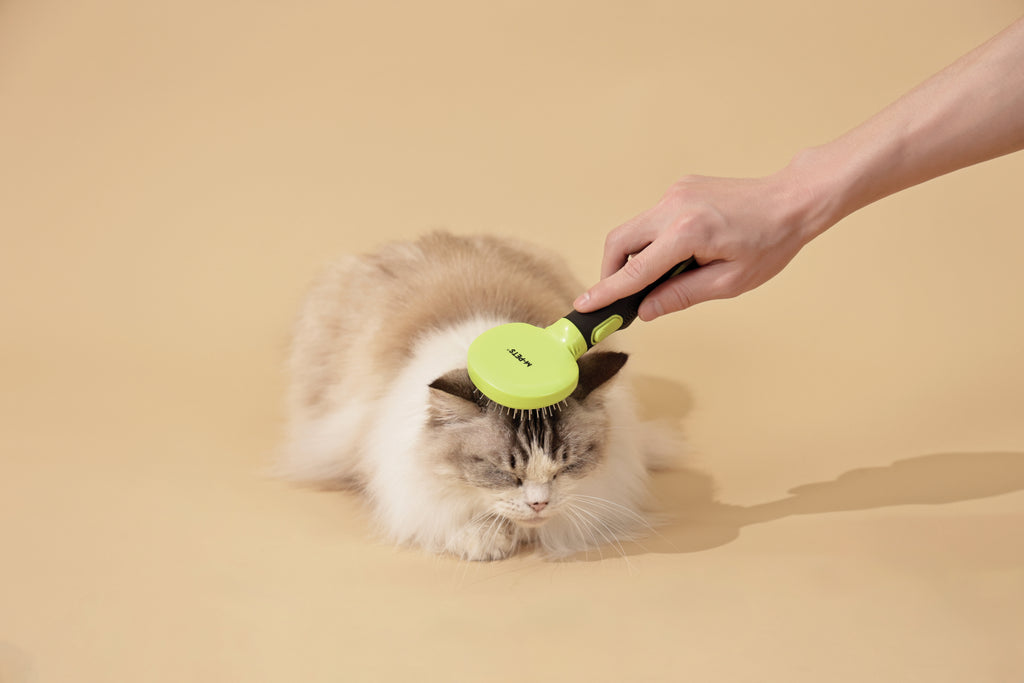 CLICK and GROOM Pin Brush
