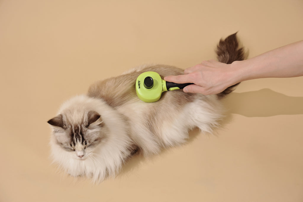 CLICK and GROOM 1-click Cleaning Pin