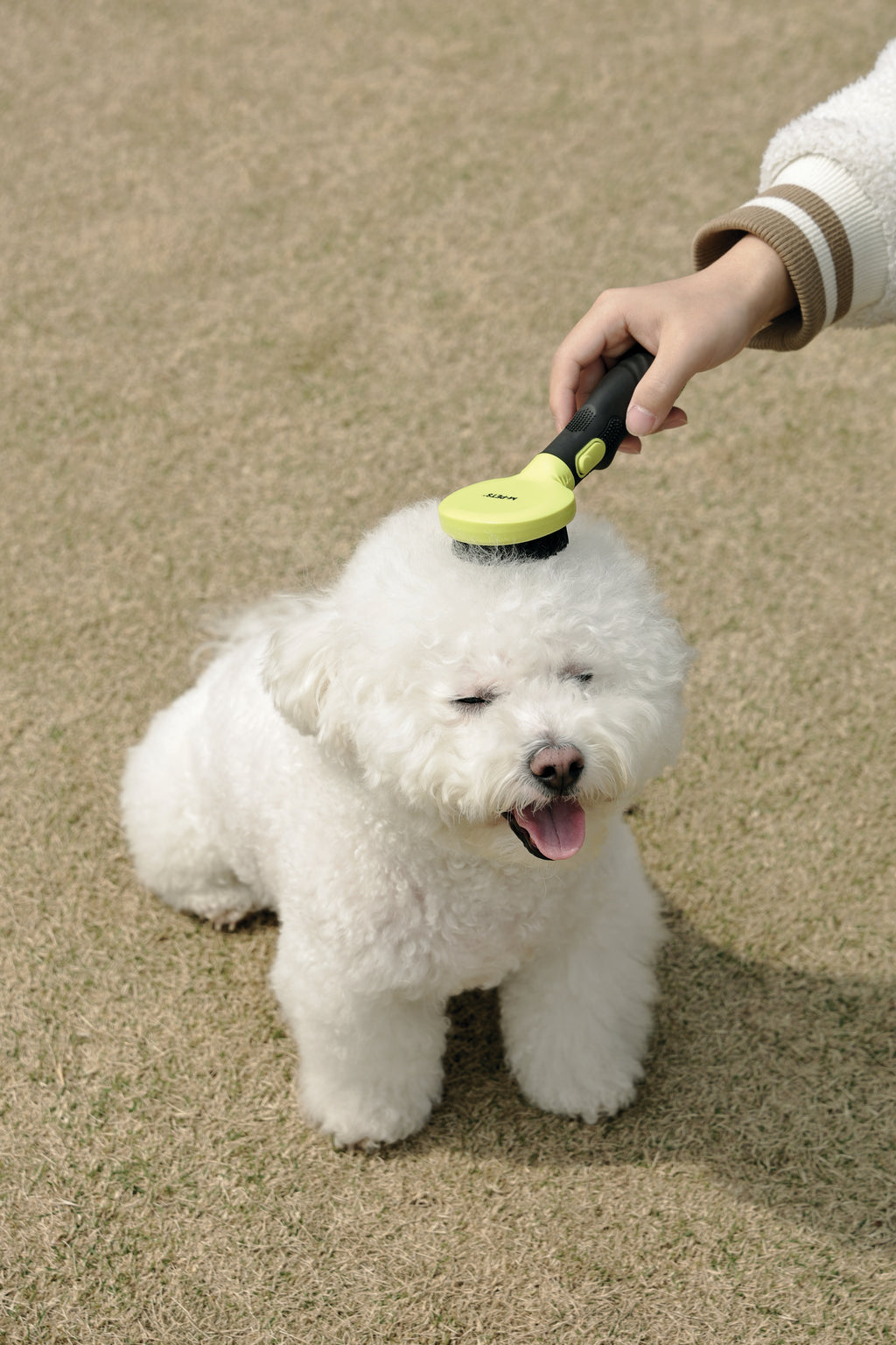 CLICK and GROOM Bristle Brush