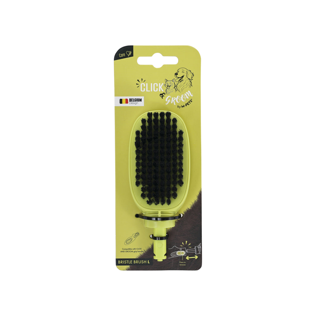 CLICK and GROOM Bristle Brush Head