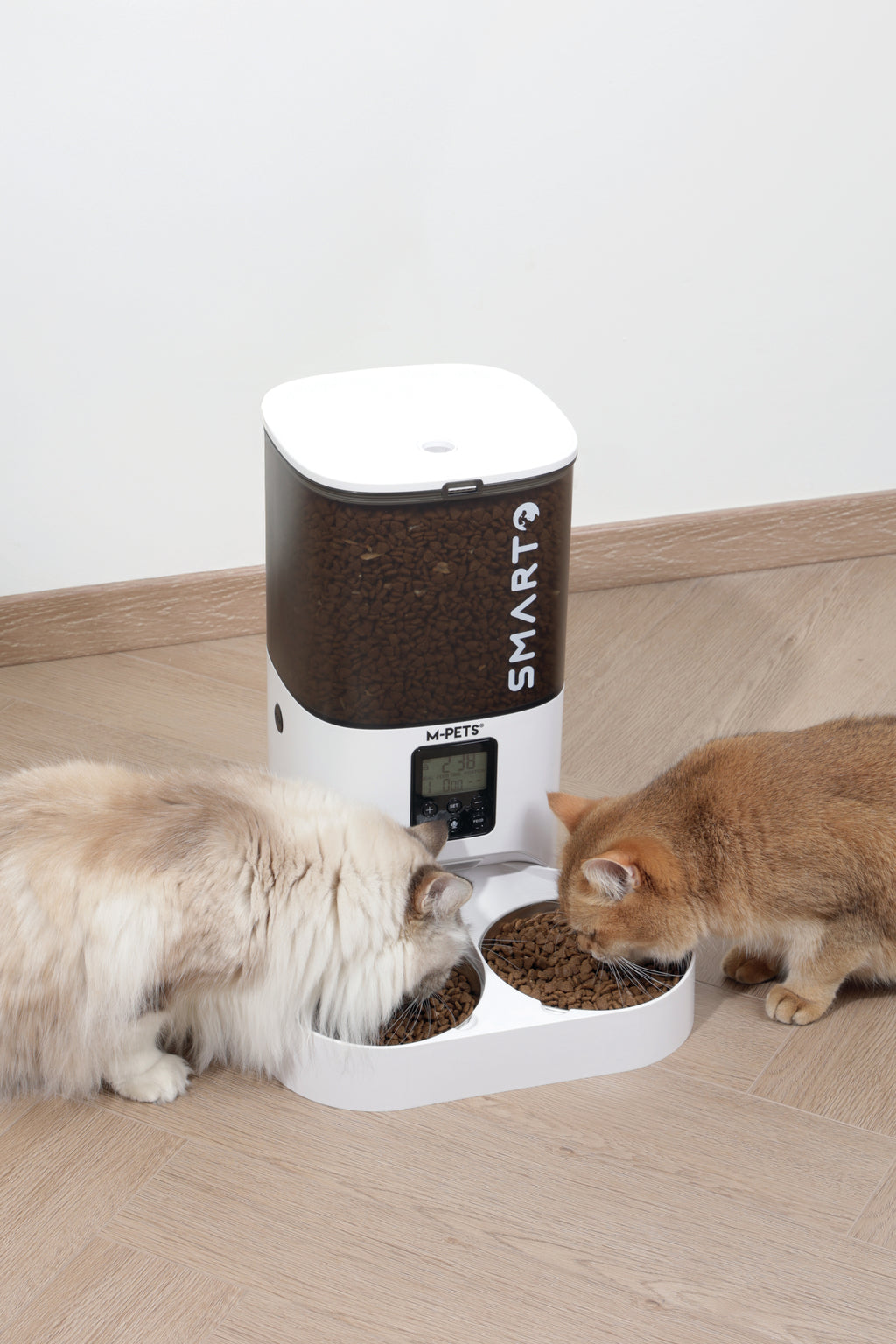 SMARTO M800 6L Automatic Food dispenser