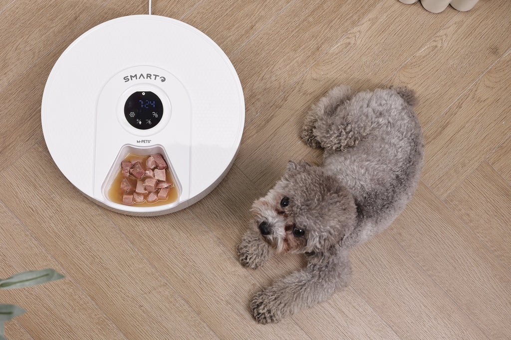 SMARTO M900 Cooling 6 Meal Automatic Food Dispenser