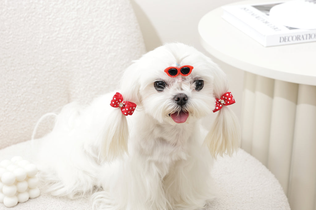GLAM Hair Accessories for pets clip & rubber band - Red