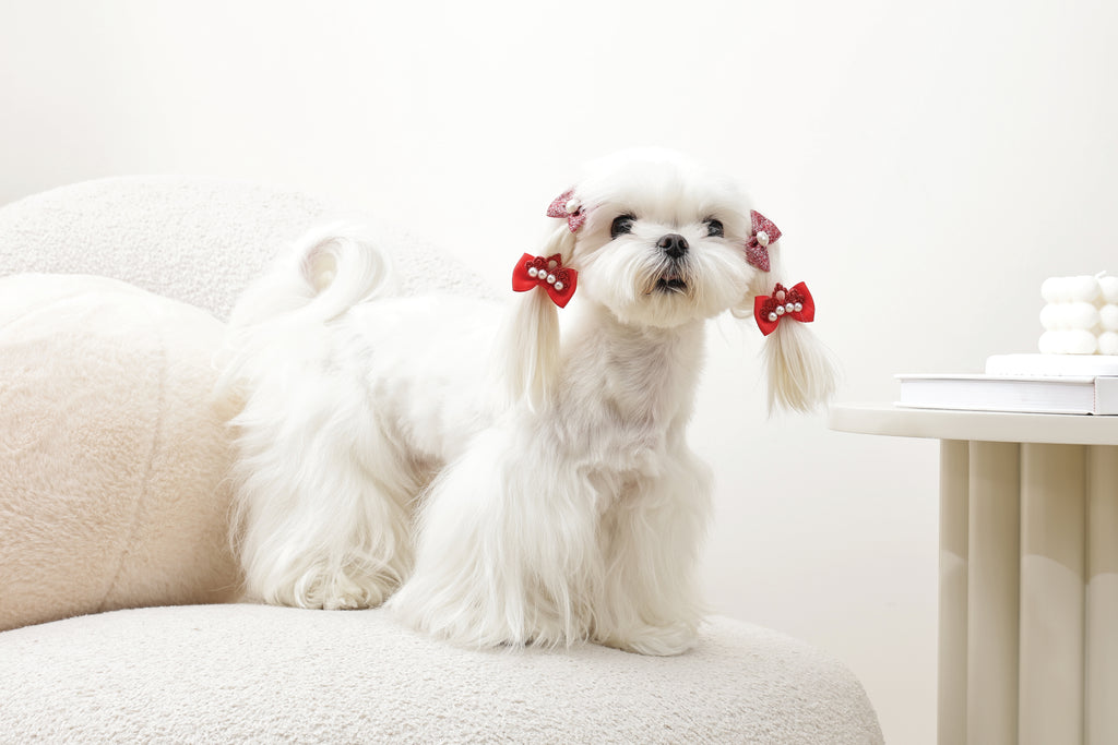 GLAM Hair Accessories for pets rubber band - Red