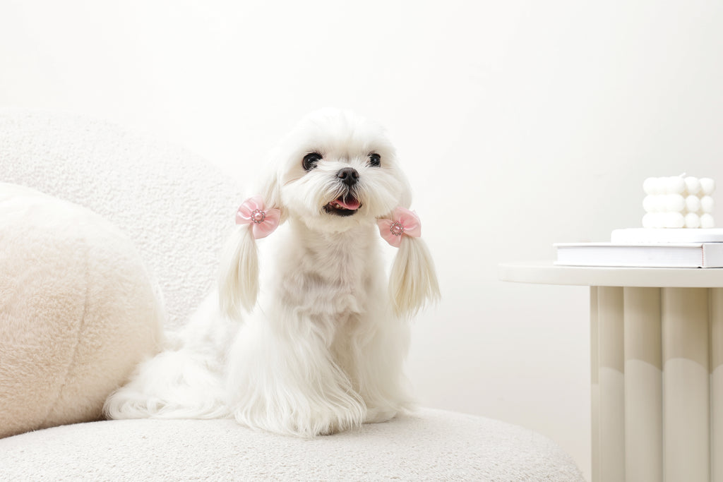 GLAM Hair Accessories for pets rubber band with pearl - Pink