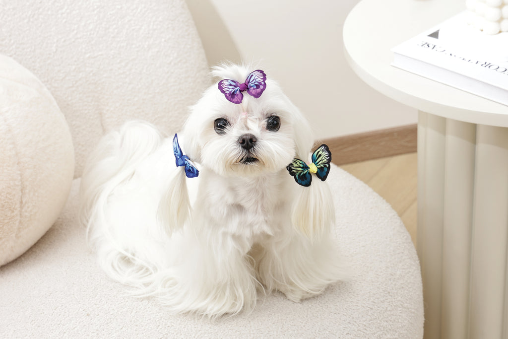 GLAM Hair Accessories for pets rubber band - Blue/Purple/Green