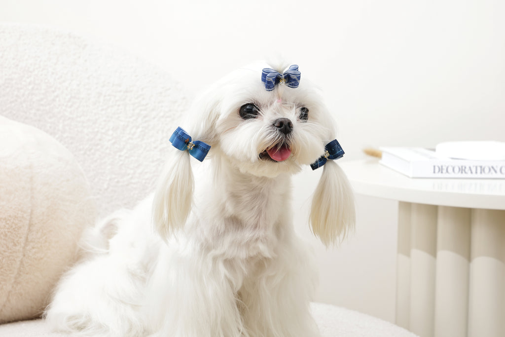 GLAM Hair Accessories for pets rubber band - Blue