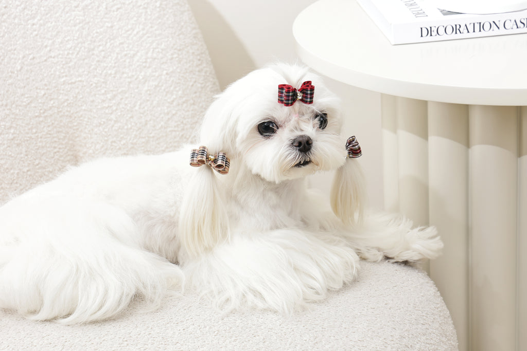 GLAM Hair Accessories for pets clip & rubber - Red