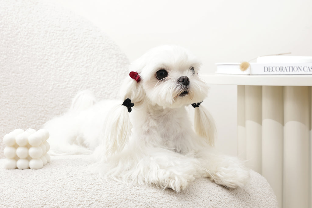 GLAM Hair Accessories for pets heart shape clip - Black & Red