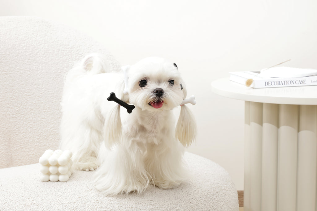 GLAM Hair Accessories for pets bone shape clip - Black &White