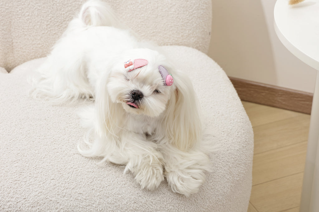 GLAM Hair Accessories for pets clip - Pink