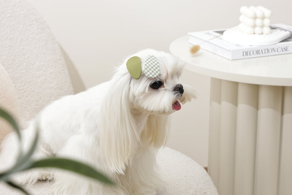 GLAM Hair Accessories for pets clip - Green