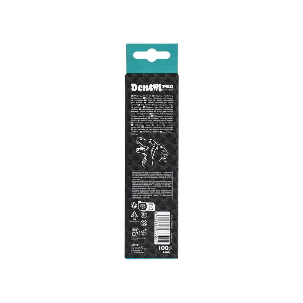 DENTAL CARE PRO WHITENING toothpaste Green tea&mint
